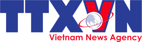 Trang chủ - VFB Media